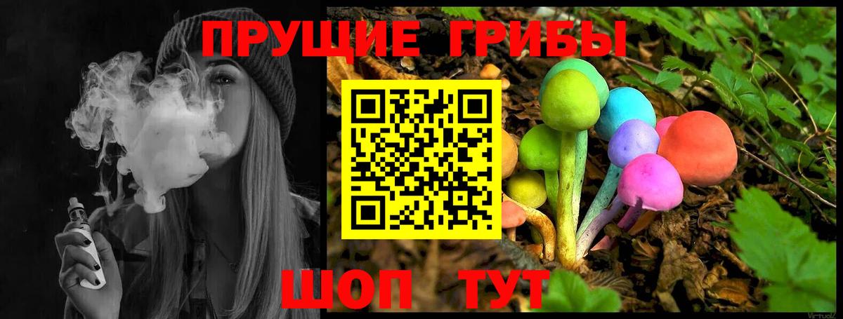закладка  Псилоцибиновые грибы Psilocybe  Вход с VPN  Саранск 